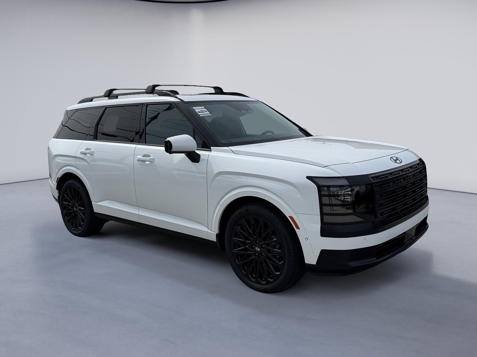 2027 Hyundai PALISADE HYBRID Calligraphy Black Ink