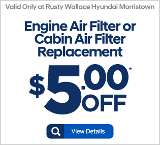 Engine Air Filter or Cabin Air Filter Replacement - View Details